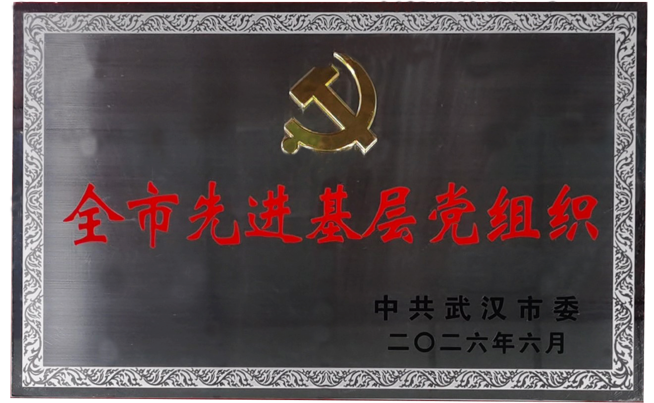 基层党组织.png
